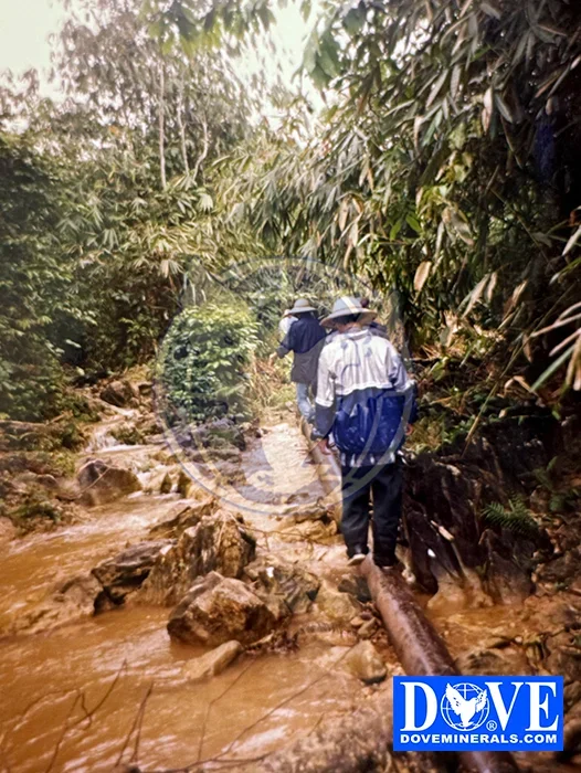 DOVE Central Vietnam gallery photo DOVE Central Vietnam gallery photo