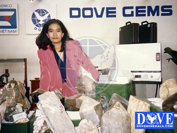 DOVE Gems at Vietnam exhibition 1993 DOVE Gems at Vietnam exhibition 1993