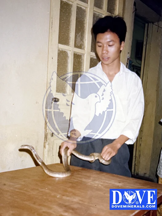 Vietnam exhibition 1993  Vietnam exhibition 1993