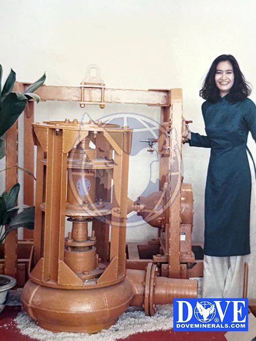 DOVE Gems at Vietnam exhibition 1993 DOVE Gems at Vietnam exhibition 1993