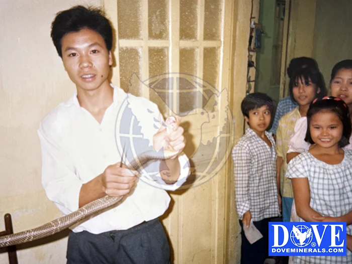 Vietnam exhibition 1993 Vietnam exhibition 1993