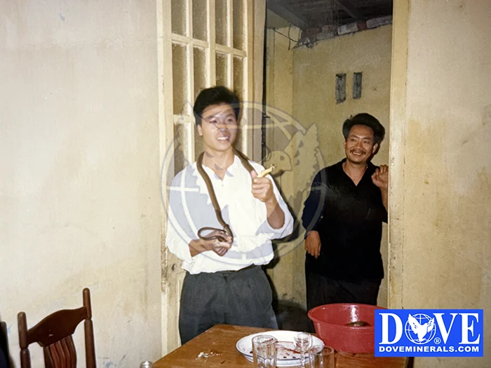 Vietnam exhibition 1993 Vietnam exhibition 1993