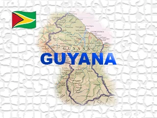 DOVE MINERALS GUYANA